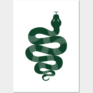 Large Snake dark green Posters and Art